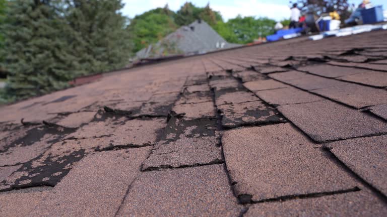 Trusted Hammond, IN Roofing Service Experts