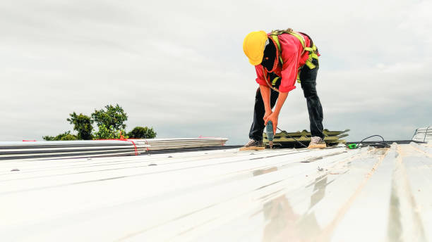 Best Roof Maintenance and Cleaning  in Hammond, IN