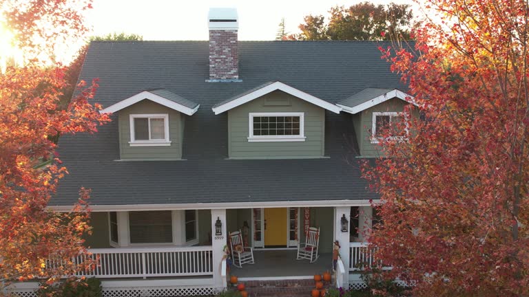 Best Chimney Flashing Repair  in Hammond, IN