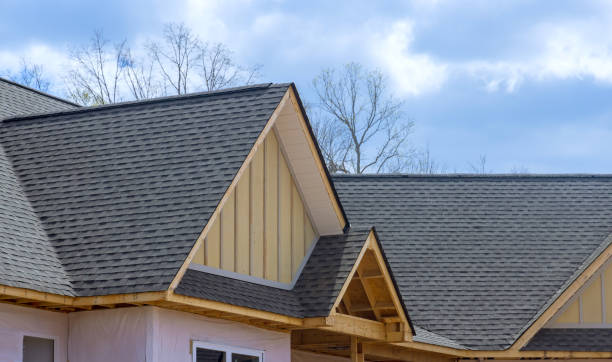 Best Roof Coating and Sealing  in Hammond, IN