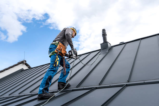 Best Roof Moss and Algae Removal  in Hammond, IN