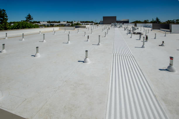 Best Hot Roofs  in Hammond, IN